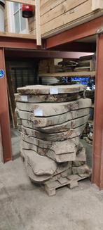 Grote Boomstamschijven van een Beuk, Ophalen, 50 tot 100 cm, Nieuw, 50 tot 100 cm