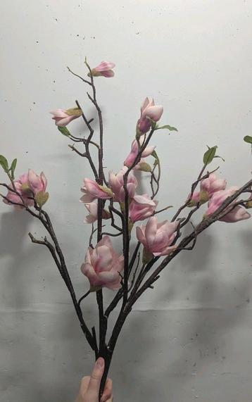 Nepbloemen roze  beschikbaar voor biedingen
