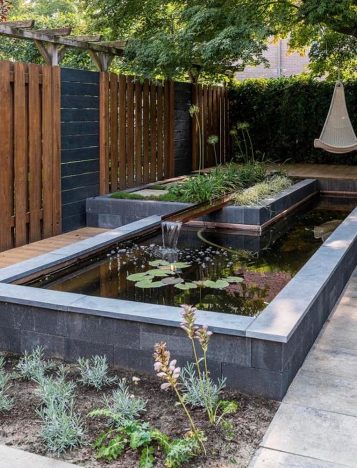 Vijver vissen opvang, Dieren en Toebehoren, Vissen | Vijvervissen, Karper of Koi