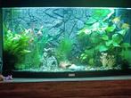 Aquarium vol glas, rond model, 120 ltr, Ophalen, Leeg aquarium