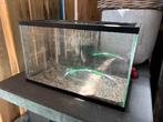 Aquarium bak te koop, Dieren en Toebehoren, Vissen | Aquaria en Toebehoren, Ophalen, Gebruikt, Leeg aquarium