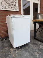 Liebherr diepvries, Gebruikt, Ophalen, Vrieskast, 85 tot 120 cm