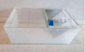 Laatste Nieuwe T4 labbakken voor 30 euro, Dieren en Toebehoren, Reptielen en Amfibieën | Toebehoren, Nieuw, Overige typen, Ophalen of Verzenden