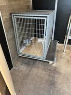Te koop Sterke Kamerkooi, Dieren en Toebehoren, Ophalen, 65 tot 100 cm, Hondenhok, Zo goed als nieuw