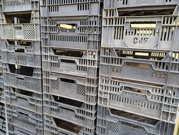 33 kisten kratten opbergkisten voor 100 euro. beschikbaar voor biedingen
