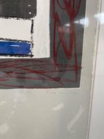 Abstract | Ingelijste zeefdruk, Antiek en Kunst, Kunst | Litho's en Zeefdrukken, Ophalen