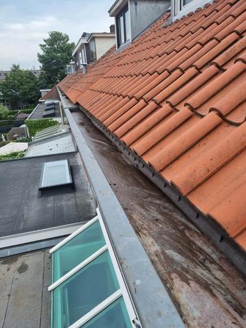 Dakgoot schoonmaken regio Rotterdam Dordrecht Delft Den Haag beschikbaar voor biedingen