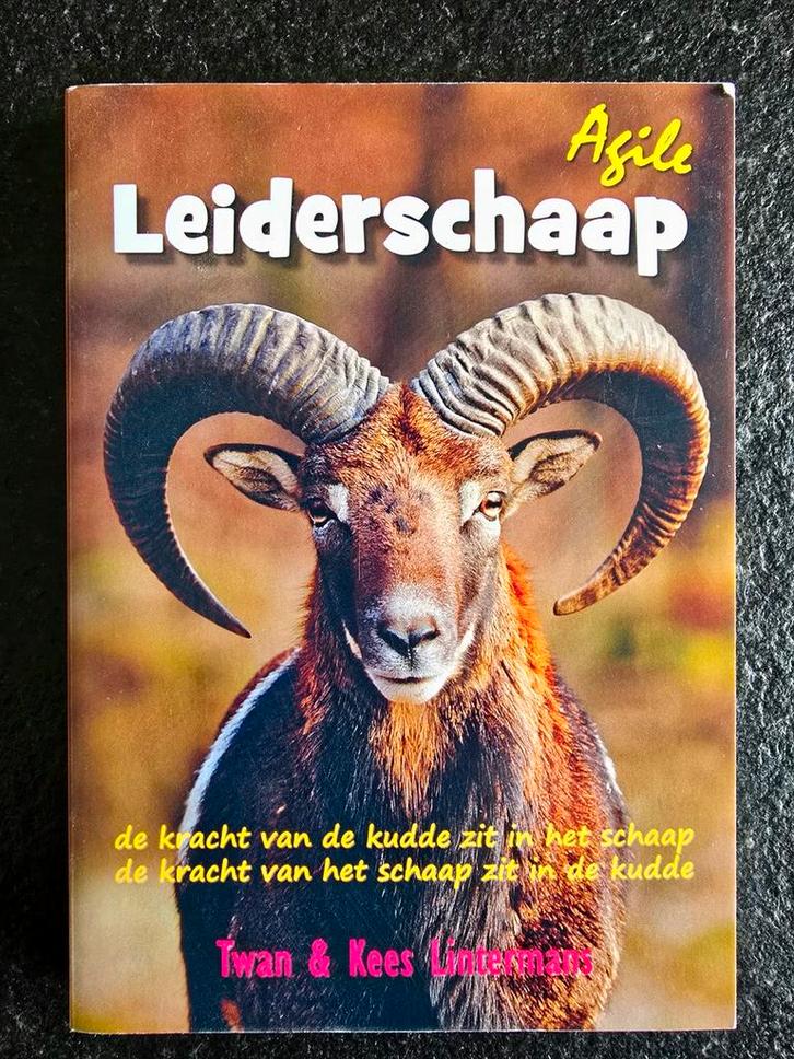 Twan En Kees Lintermans - Agile leiderschaap, Boeken, Wetenschap, Zo goed als nieuw, Sociale wetenschap, Ophalen of Verzenden