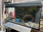 juwel aquarium maat 80/40/35 cm, Dieren en Toebehoren, Ophalen of Verzenden, Zo goed als nieuw, Leeg aquarium