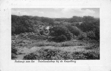 (377-488-017) Rockanje Duinlandschap Koepelberg beschikbaar voor biedingen
