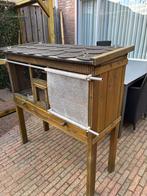 Konijnenhok, Dieren en Toebehoren, Mannelijk, Dwerg