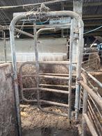 Gea Selectiepoort met Koeherkenning, Ophalen, Veehouderij, Melktechniek