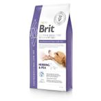 BRIT GASTROINTESTINAL LOW FAT - direct leverbaar !, Dieren en Toebehoren, Ophalen of Verzenden, Hond