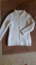 mooi vestje, Kinderen en Baby's, Kinderkleding | Maat 134, Ophalen of Verzenden, Gebruikt, Meisje, Trui of Vest