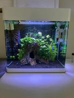 Superfish aquarium Panorama 35 Wit met alle toebehoren, Dieren en Toebehoren, Vissen | Aquaria en Toebehoren, Ophalen, Gebruikt