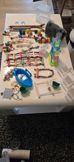 Speelgoed voor vogel, Dieren en Toebehoren, Vogels | Parkieten en Papegaaien, Mannelijk, Parkiet