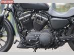HARLEY-DAVIDSON SPORTSTER IRON XL 883 N (bj 2009), 2 cilinders, HARLEY-DAVIDSON, Motorrijbewijs A, Bedrijf