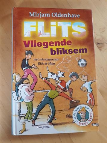 FLITS   - Vliegende bliksem  van Mirjam Oldenhave beschikbaar voor biedingen