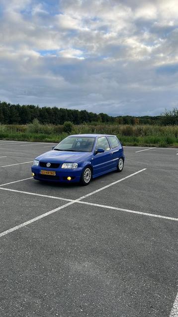 Gezocht polo 6n2 onderdelen beschikbaar voor biedingen