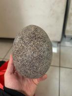 Zeldzame Emoe Ei struisvogel, Ophalen of Verzenden