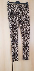 Leopar legging, Kleding | Dames, Ophalen of Verzenden, Nieuw, Zwart, Legging