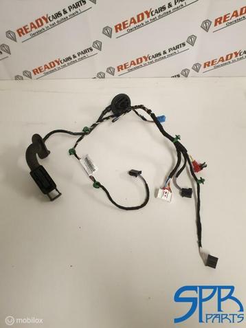 VW ARTEON Kabelboom portier Linksachter DEUR 3G8971693Q beschikbaar voor biedingen