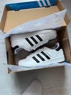 Adidas superstar, Ophalen of Verzenden, Nieuw, Overige typen, Overige merken