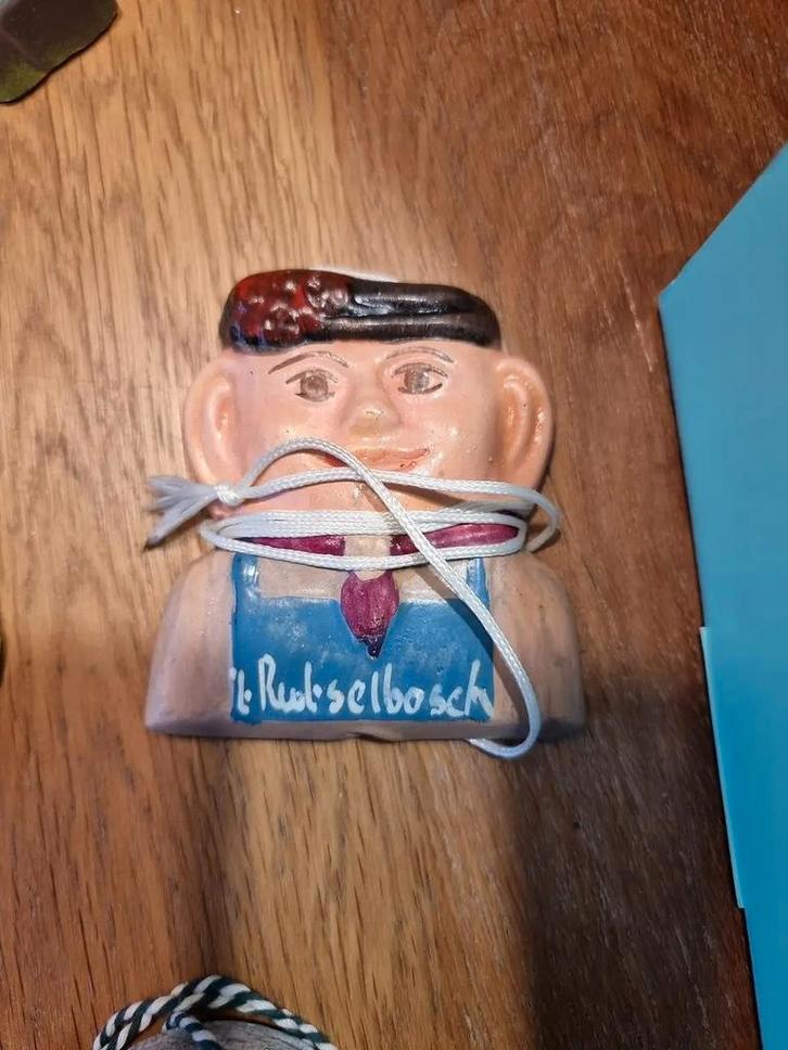 GEZOCHT!! Rutselbosch insigne, Verzamelen, Speldjes, Pins en Buttons, Zo goed als nieuw, Ophalen of Verzenden