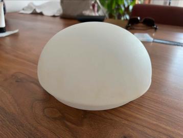 Plafondlamp voor toilet - gratis