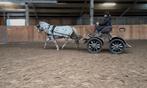 Excellent 23/21, Dieren en Toebehoren, Rijtuigen en Koetsen, Gebruikt, Marathonwagen, Pony