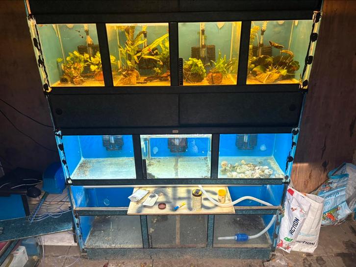 Vissenopvang Aqua haven groningen (AHG), Dieren en Toebehoren, Vissen | Aquaria en Toebehoren, Zo goed als nieuw, Ophalen