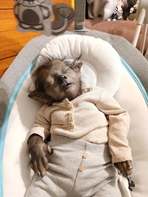 reborn Lilly, Verzamelen, Poppen, Zo goed als nieuw, Babypop, Levensecht of Reborn, Ophalen of Verzenden