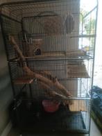 Tiaki knaagdieren Kooi Villa L79xB52xH142 kleur zwart, Dieren en Toebehoren, Ophalen, Kooi, Minder dan 75 cm, Zo goed als nieuw