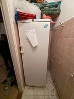 Koelkast en vriezer te koop, moet weg ivm verbouwing, Gebruikt, 160 cm of meer, Ophalen, Vrieskast