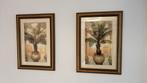 Ingelijste prenten. Uit Spanje. Palmbomen. Tropisch., Ophalen, Zo goed als nieuw, Schilderij, 50 tot 75 cm