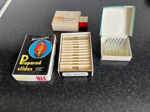 Microscoop Objectglaasjes + voorbeeldglaasjes, Antiek en Kunst, Antiek | Gereedschap en Instrumenten, Ophalen of Verzenden