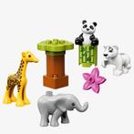 Duplo babydieren, Ophalen of Verzenden, Zo goed als nieuw, Duplo