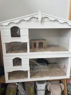 Caviahok met twee beertjes, Ophalen, Gebruikt, Hamster, 90 cm of meer