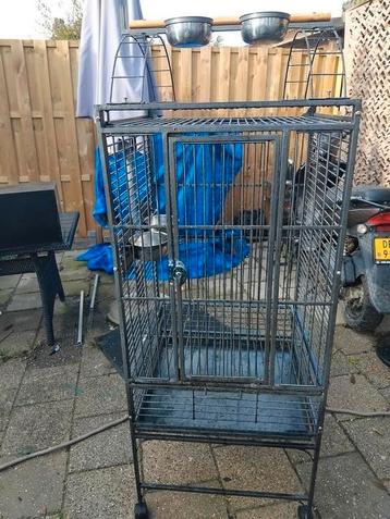 Strong vogelkooi beschikbaar voor biedingen