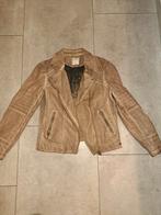Sandwich Biker Jack Maat 42, Kleding | Dames, Bruin, Maat 42/44 (L), Ophalen of Verzenden, Jasje