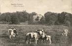 Naarden Bussum Huize Flevo-Rama met koeien st 1924, Gelopen, Noord-Holland, 1920 tot 1940, Verzenden