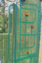 Wachtlijst Open!!! Paddock Paradis (Foto's volgen ZSM), Dieren en Toebehoren