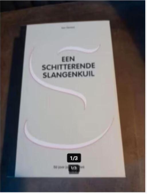 Een schitterende slangenkuil Ton verlind, Boeken, Overige Boeken, Gelezen, Ophalen of Verzenden
