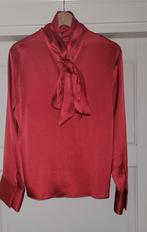 Mooie blouse voor de feestdagen! - nieuw!, Kleding | Dames, Blouses en Tunieken, Maat 38/40 (M), H&M, Nieuw, Ophalen of Verzenden