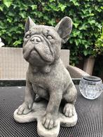 franse bull bulletje bulldog hond beeld, Ophalen, Nieuw