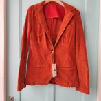 Lois fluweel zachte blazer in warm oranje kleur S €189,95, Kleding | Dames, Jasjes, Kostuums en Pakken, Oranje, Ophalen of Verzenden
