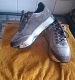 Stoere Calvin Klein Jeans Velvet Cate Sneakers, Ophalen, Grijs, Calvin Klein, Sneakers of Gympen