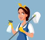 Huishoudelijke hulp gezocht, Overige vormen