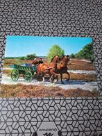 Ansichtkaart Groeten uit Zuidlaren., Ophalen of Verzenden, Gelopen