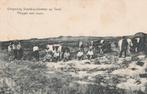 texel ontginnig   staatsboschbeheer   ossen voor de ploeg, Ophalen of Verzenden, Voor 1920, Gelopen, Waddeneilanden